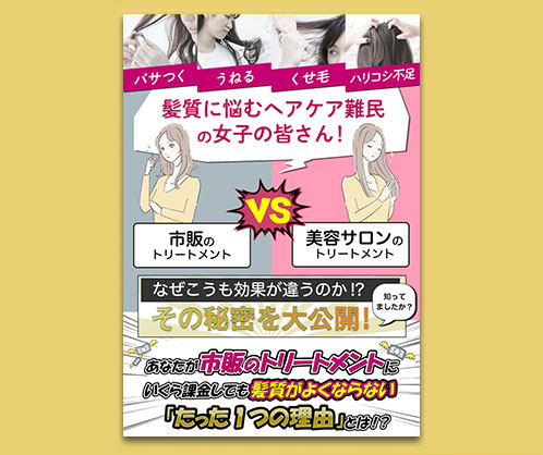 ヘアケア商品のFV